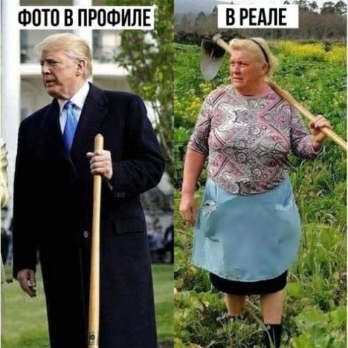 ФПТПВПРДФИЛЕ _ врндлЁ