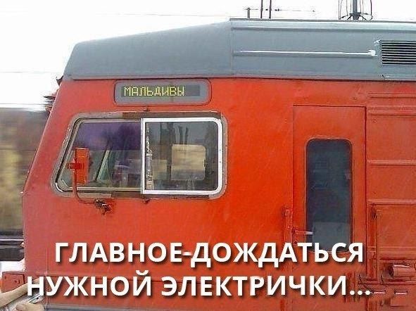 глдвнов дождАіься фужной элвктгички_