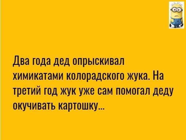 т т мимттшшидш