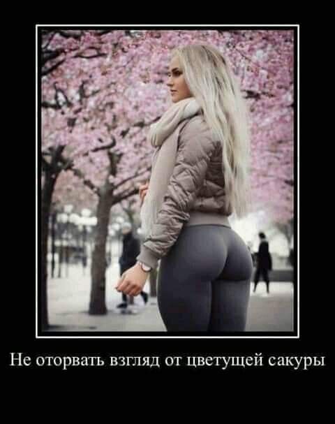 Не оторвать взгляд от цветущей сакуры