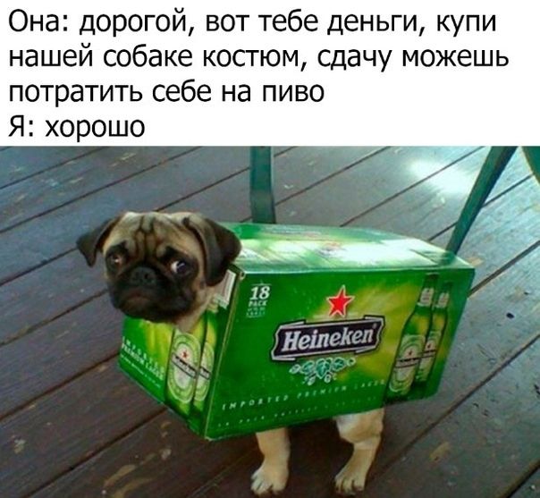 Она дорогой вот тебе деньги купи нашей собаке костюм сдачу можешь потратить себе на пиво Я хорошо