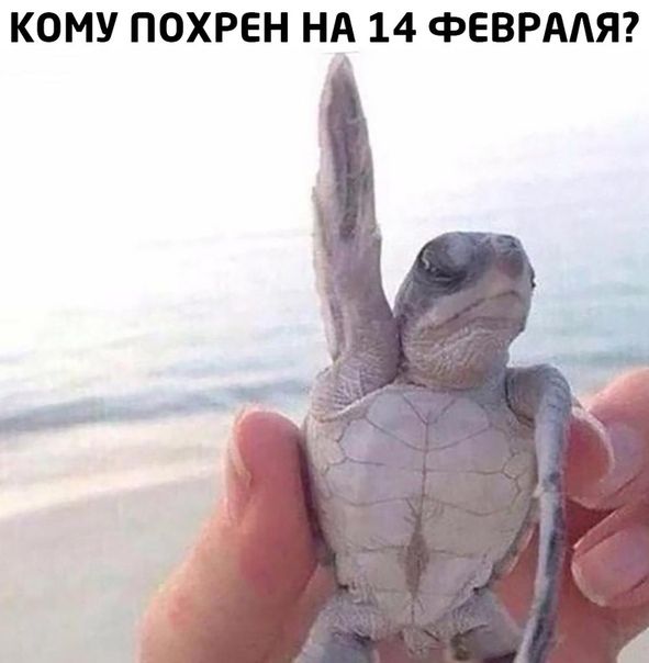 КОМУ ПОХРЕН НА 14 ФЕВРААЯ
