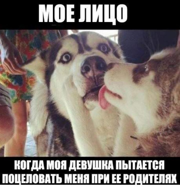 ШШШ ШШ дшшнд ПЫПШВП 0ЦШ0ЗМЪ МБШ ПРИ ЕЕ ЮДИТШШ