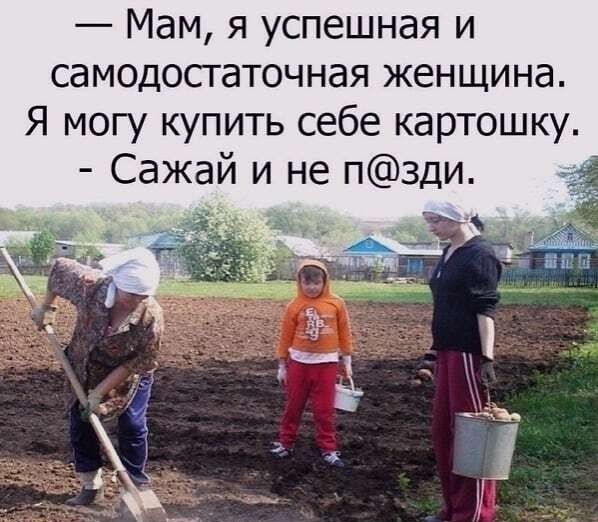 Мам я успешная и самодостаточная женщина Я могу купить себе картошку Сажай и не пзди