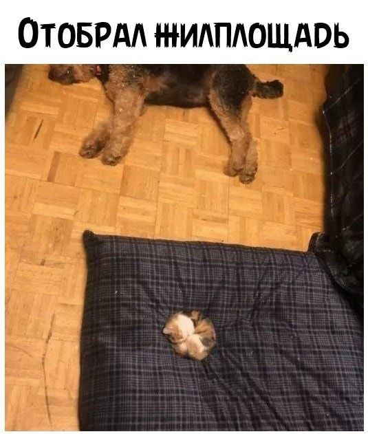 ОТОБРАА житощдвь