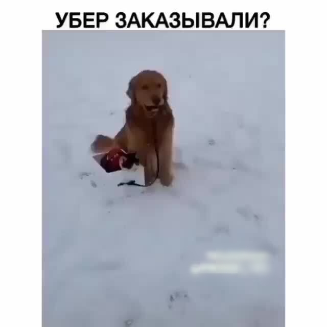 УБЕР ЗАКАЗЫВАЛИ