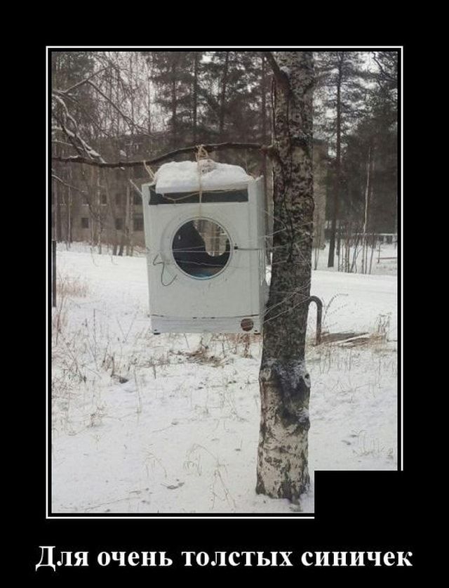 ДЛЯ очень ТОЛСТЬЦХ синичек
