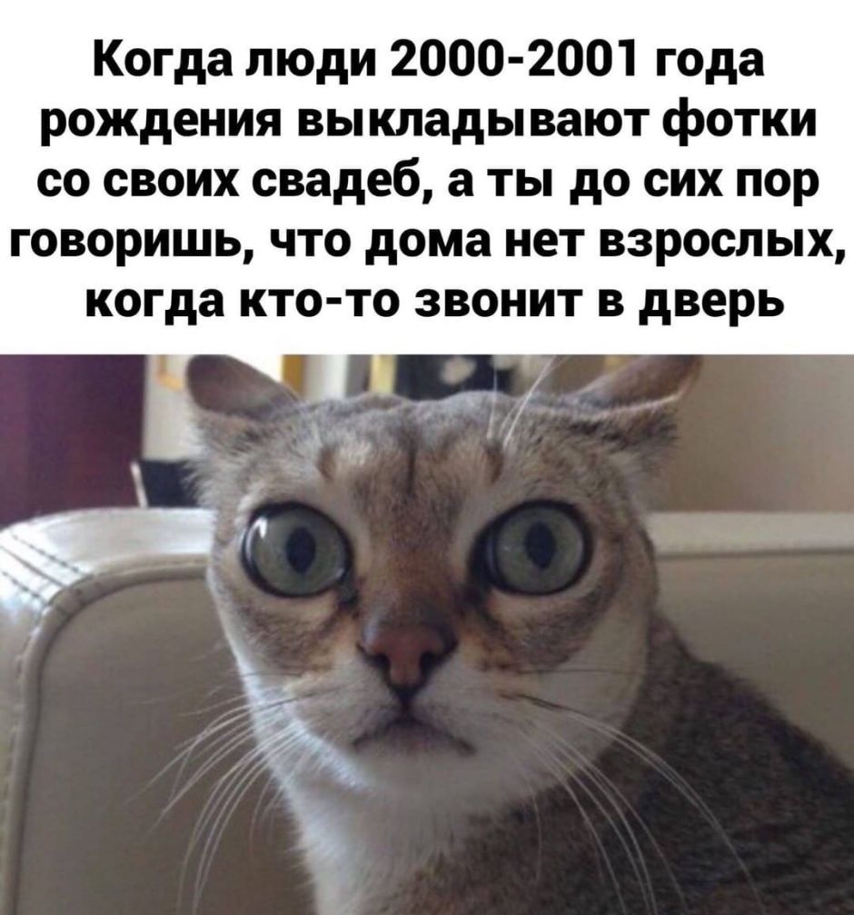 Когда люди 2000 2001 года рождения выкладывают фотки со своих свадеб а ты до сих пор говоришь что дома нет взрослых когда кто то звонит в дверь