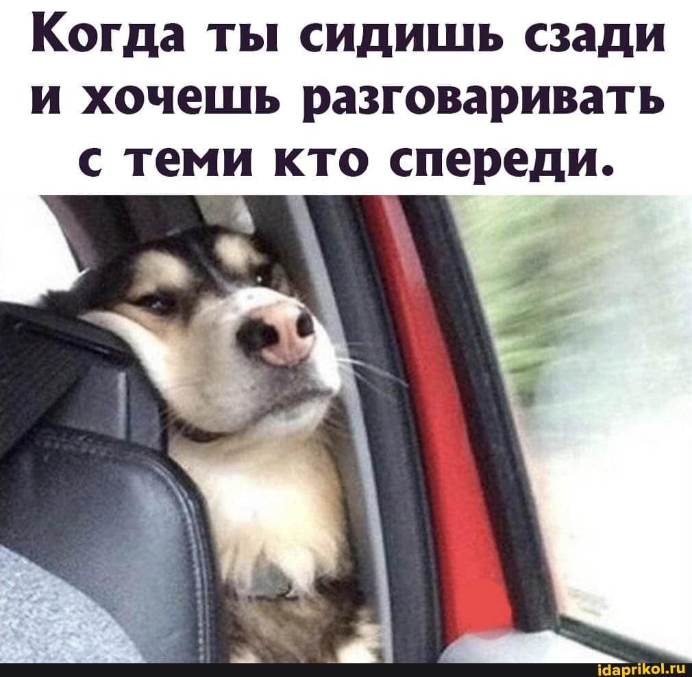 Когда ты сидишь сзади и хочешь разговаривать С теми КТО спереди