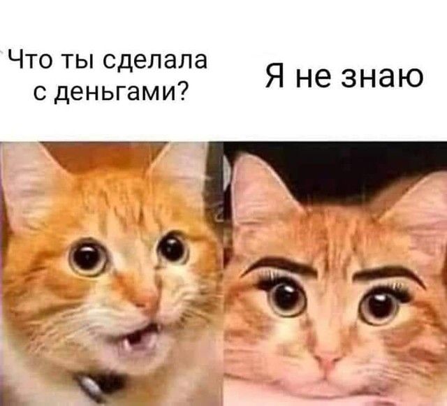 Что ты сделала с деньгами Я не знаю