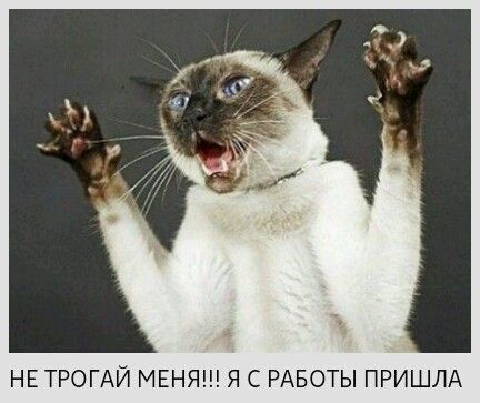 НЕ ТРОГАЙ МЕНЯ Я С РАБОТЫ ПРИШЛА
