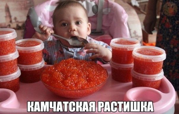 м Рёді 4 _ Ымнпмёипіпп гдет иЕшндЭ