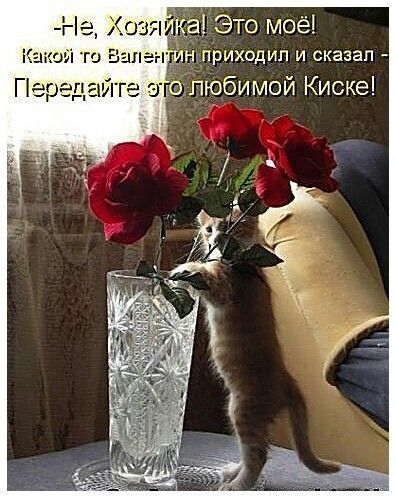 На Хозя ка Это моё