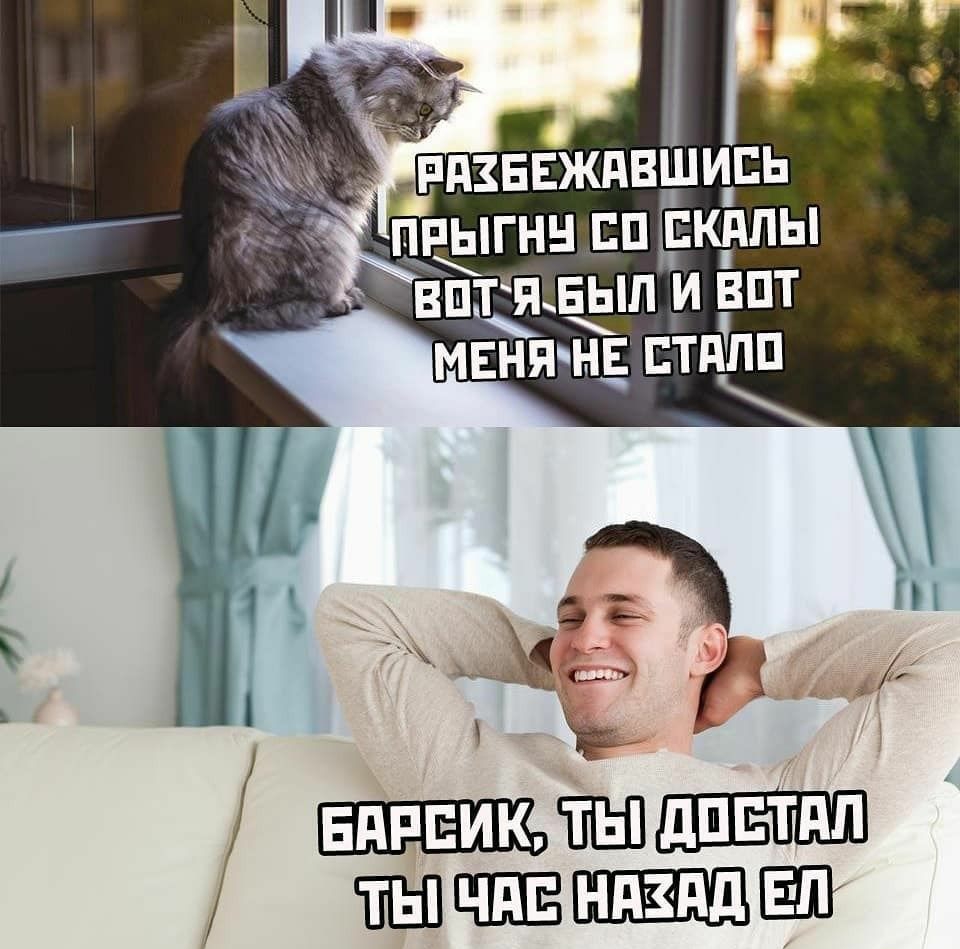 ШШЧШББЕЩВЩ