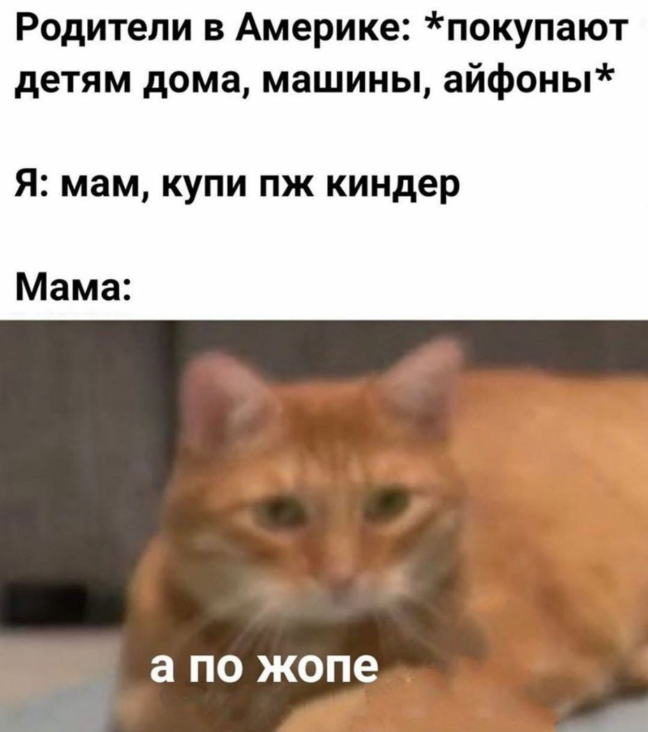 Родители в Америке покупают детям дома машины айфоны Я мам КУПИ ПЖ киндер Мама а ПО жопе