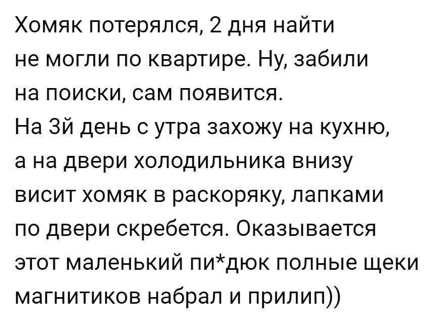 Хомяк потерялся 2 дня найти не могли по квартире Ну забили на поиски сам появится На Зй день с утра захожу на кухню а на двери холодильника внизу висит хомяк в раскоряку лапками по двери скребется Оказывается этот маленький пидюк полные щеки магнитиков набрал и прилип