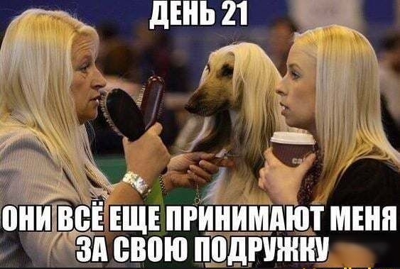 в ЕЕЩЕ принимают мы за свою подгшнни