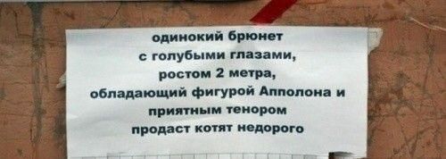 шими в голубыми ппц ми рылом иии свищиий фигурой Атоми и тип пип прод н кот не