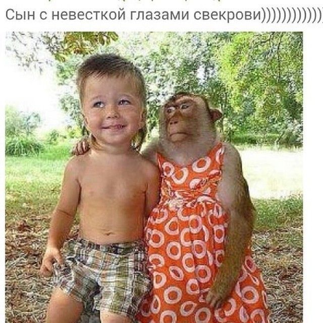 Сын с невесткой глазами свекрови