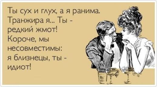 Ты сух и мух а я ранима Транжира я Ты редкий жмот Короче мы несовместимы я бАизнецы ты идиот