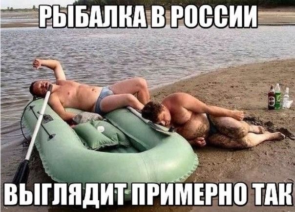 _тдн выіпндигитприш