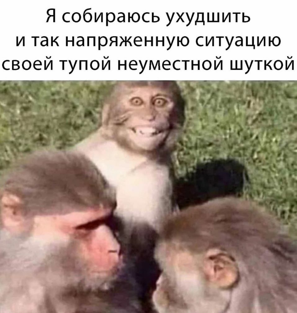 Я собираюсь ухудшить и так напряженную ситуацию своей тупой неуместной шуткой