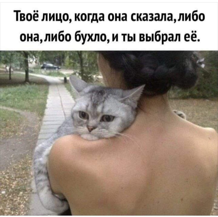 Твоё лицо когда она сказалалибо оналибо бухло и ты выбрал её