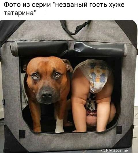 Фото из серии незваный гость хуже ч5рк5 те