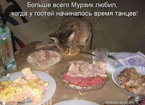 Больше всего Мурзик пюбип когда у тетей начиналось время танцев