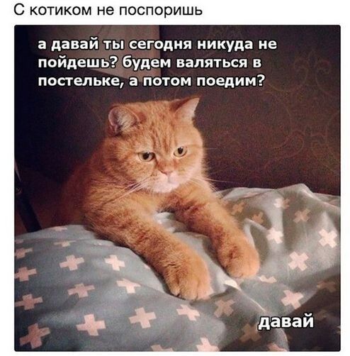 С КОТИКОМ не поспоришь а давай ты сегодня никуда не пойдешь будем валяться в постельке а потом поедим