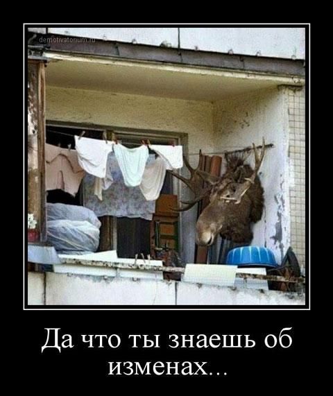 Да что ты знаешь об изменах