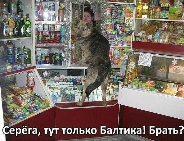 Серёга тут только Балтика Брать