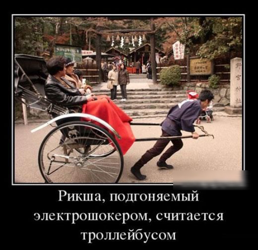 Рикша подгоняе МЫй электрошокером считается троллейбусом