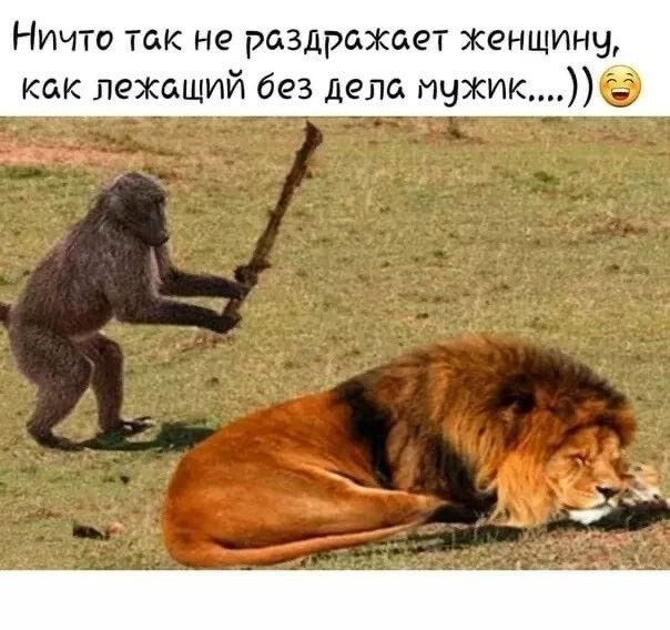 НИЧТО ТйК не РГАЗДРСОКбОТ женщину как лежсьщий без дела мужик ё