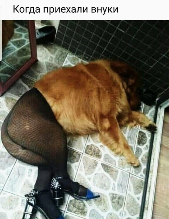 Когда приехали внуки