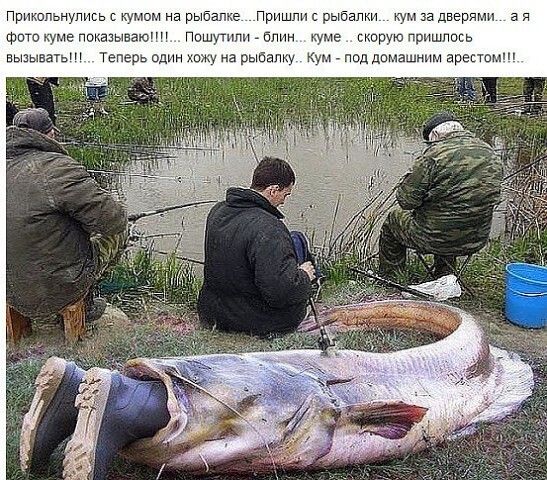 пришлыми мюмнарыбапце Пришпигрыбапни гщзадвэрямп а ч штуепжзыьаюпп Пшшушпкрбпнн уме мыруюппишппсь выдывагын Теперьодпнм марыйалщ умподдшлашншлартем