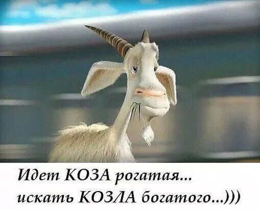 Идет КОЗА рогатая искать КОЗЛА богитого