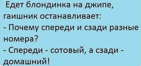 Едет блондинка на джипе гаишник останавливает Почему спереди и сзади разные номера Спереди сотовый а сзади домашний