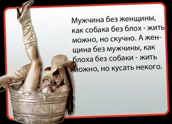 Мужчина без женщины как собака без бпох жить можно не скучно А жен щина без мужчины как лоха без собаки жить ОЖНО НО КУСЗТЬ некого