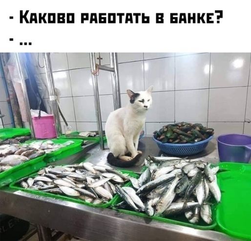 Кдкпвп ппвптдть нднкв