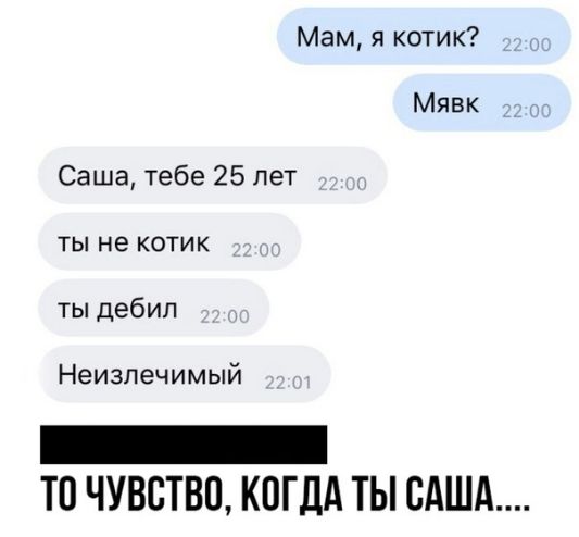 Мам я котик Мявк Саша тебе 25 лет ты не котик ты дебил Неизпечимый _ ТО ЧУВСТВО КОГДА ТЫ САША