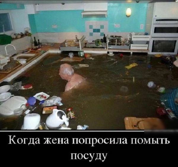 Когда жена попросила помыть посуду