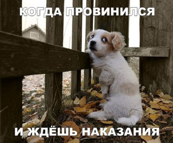 к БЕШЬ НАКАЗАНИЙ А