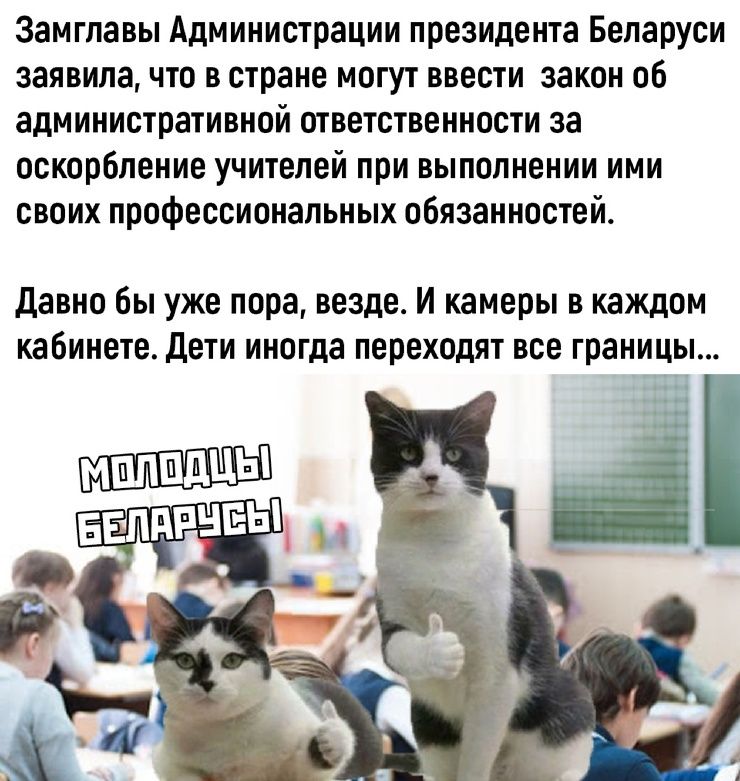 Замглавы Администрации президента Беларуси заявила что в стране могут ввести закон об административной ответственности за оскорбление учителей при выполнении ими своих профессиональных обязанностей Давно бы уже пора везде И камеры в каждом кабинете дети иногда переходят все границы