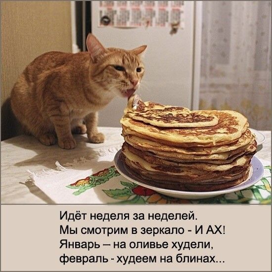 Идёт неделя за неделей Мы смотрим в зеркало И АХ Январь _ на оливье худепи февраль худеем на блинах