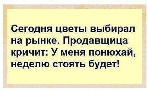 Сегодня цветы выбирал на рынке Продавщица кричит У меня понюхай неделю стоять будет