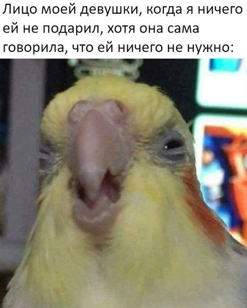 Лицо моей девушки когда я ничего ей не подарил хотя она сама говорила что ей ничего не нужно