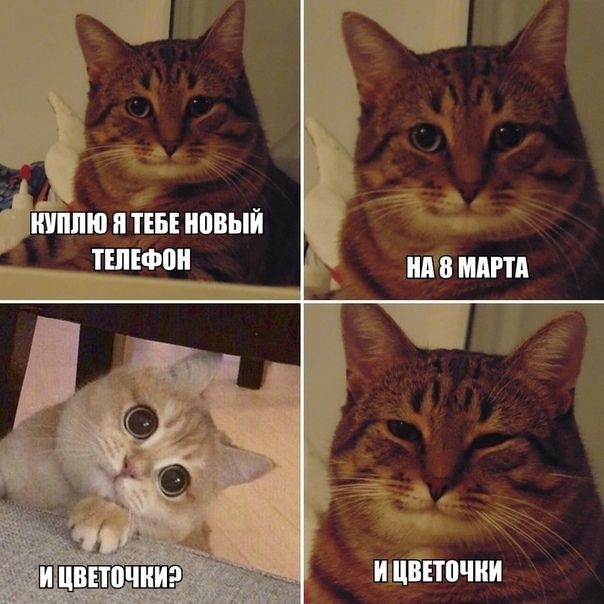 шппю я пп новый плющ ияттпчии _