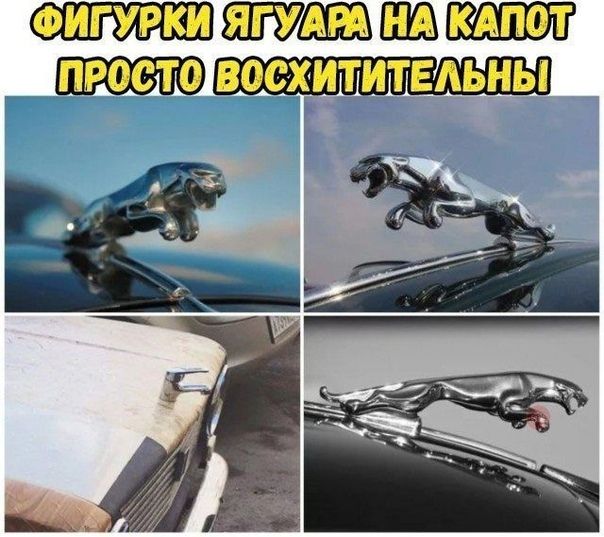 ФИГУРКИ БУШ просто восхитительны