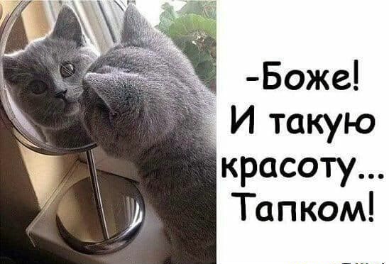 Боже И такую красоту Тапком